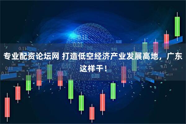 专业配资论坛网 打造低空经济产业发展高地，广东这样干！