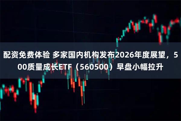 配资免费体验 多家国内机构发布2026年度展望，500质量成长ETF（560500）早盘小幅拉升