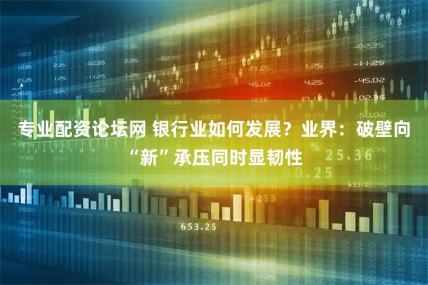 专业配资论坛网 银行业如何发展？业界：破壁向“新”承压同时显韧性