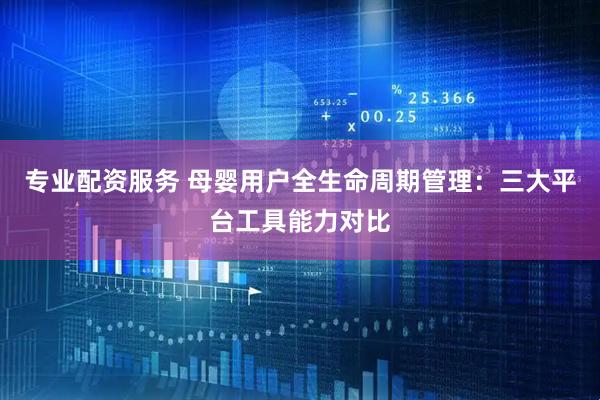 专业配资服务 母婴用户全生命周期管理：三大平台工具能力对比