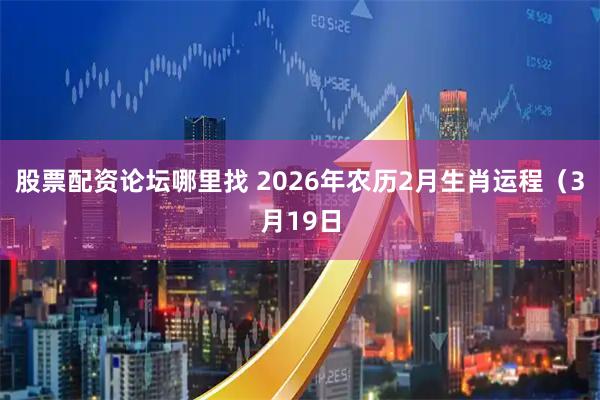 股票配资论坛哪里找 2026年农历2月生肖运程（3月19日