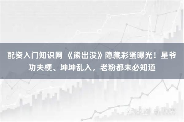配资入门知识网 《熊出没》隐藏彩蛋曝光！星爷功夫梗、坤坤乱入，老粉都未必知道